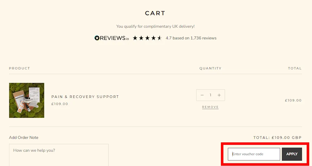 Screenshot showing where to apply a KLORIS promo code during checkout on kloris.co.