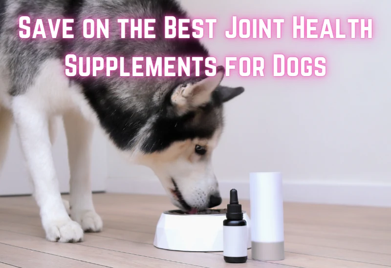 Save on Best Joint Health Supplements for Dogs – Mobility Support